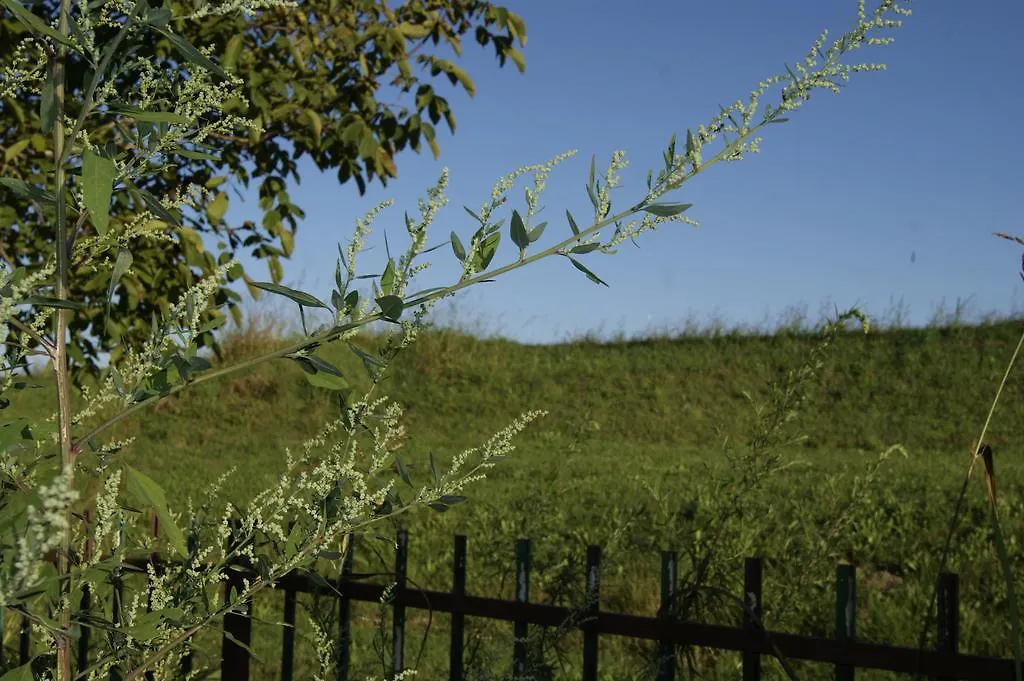 San Martino Siccomario Agriturismo La Valbonaヴィラ 0*, San Martino Siccomario イタリア