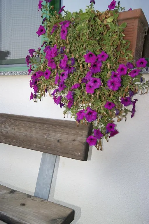 Agriturismo La Valbona Villa San Martino Siccomario